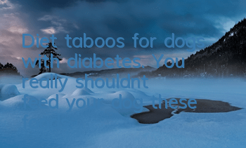 Diet taboos for dogs with diabetes. You really shouldn’t feed your dog these foods.
