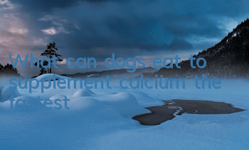 TWhat can dogs eat to supplement calcium the fastest?