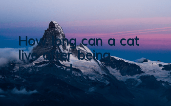 How long can a cat live after being poisoned?