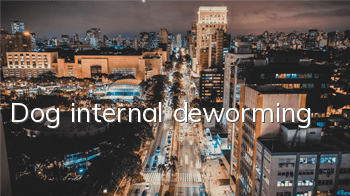 Dog internal deworming