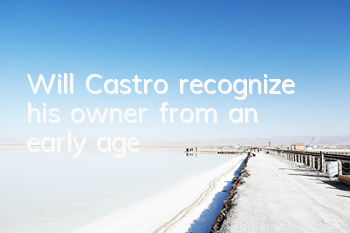 Will Castro recognize his owner from an early age?