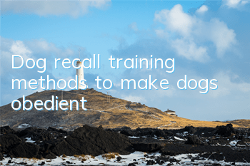 Dog recall training methods to make dogs obedient
