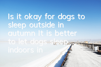 Is it okay for dogs to sleep outside in autumn? It is better to let dogs sleep indoors in a warm place