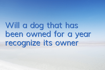 Will a dog that has been owned for a year recognize its owner?