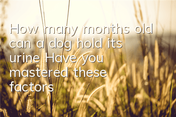 THow many months old can a dog hold its urine? Have you mastered these factors?