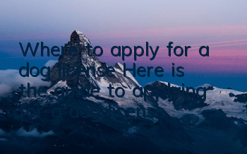 Where to apply for a dog license? Here is the guide to applying for a dog license!