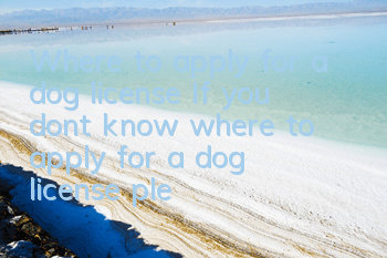 TWhere to apply for a dog license? If you don’t know where to apply for a dog license, please check here.
