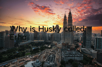 TWhy is Husky called Erha?