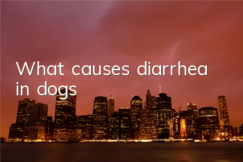What causes diarrhea in dogs