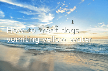 THow to treat dogs vomiting yellow water?