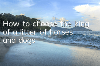 How to choose the king of a litter of horses and dogs?
