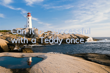 Can it be successful with a Teddy once?
