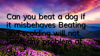 Can you beat a dog if it misbehaves? Beating and scolding will not solve any problem at all.