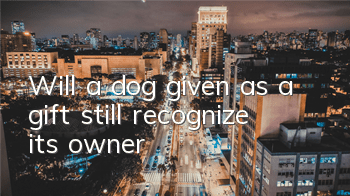 Will a dog given as a gift still recognize its owner?