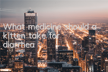 What medicine should a kitten take for diarrhea?
