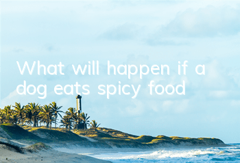 TWhat will happen if a dog eats spicy food?