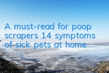 TA must-read for poop scrapers, 14 symptoms of sick pets at home!