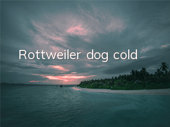 Rottweiler dog cold