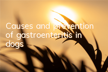 TCauses and prevention of gastroenteritis in dogs