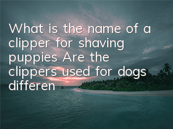 What is the name of a clipper for shaving puppies? Are the clippers used for dogs different from those used by humans?