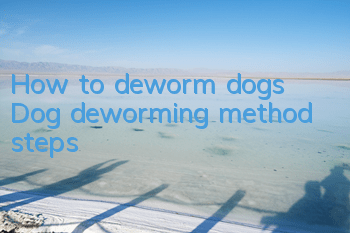 How to deworm dogs? Dog deworming method steps