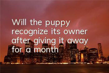 Will the puppy recognize its owner after giving it away for a month?
