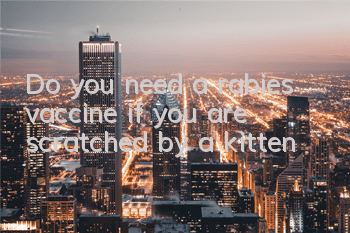 Do you need a rabies vaccine if you are scratched by a kitten?