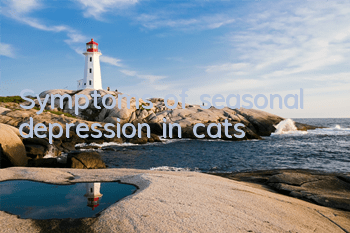 Symptoms of seasonal depression in cats