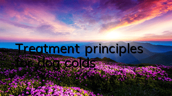 Treatment principles for dog colds