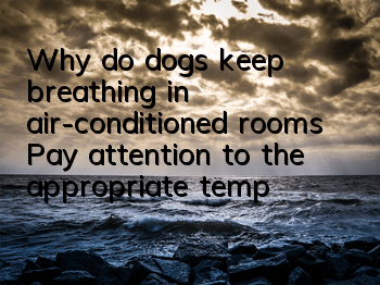 Why do dogs keep breathing in air-conditioned rooms? Pay attention to the appropriate temperature