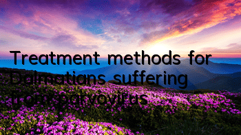Treatment methods for Dalmatians suffering from parvovirus