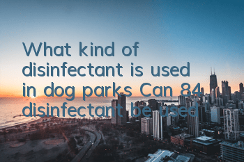 TWhat kind of disinfectant is used in dog parks? Can 84 disinfectant be used?
