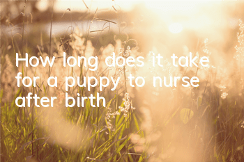 THow long does it take for a puppy to nurse after birth?