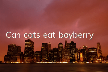 TCan cats eat bayberry?