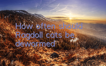 How often should Ragdoll cats be dewormed?