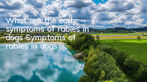 TWhat are the early symptoms of rabies in dogs? Symptoms of rabies in dogs!