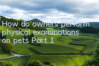 How do owners perform physical examinations on pets (Part 1)