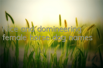 TNice and domineering female horse dog names