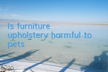 TIs furniture upholstery harmful to pets?