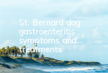 TSt. Bernard dog gastroenteritis symptoms and treatments