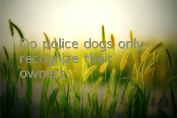 Do police dogs only recognize their owners?