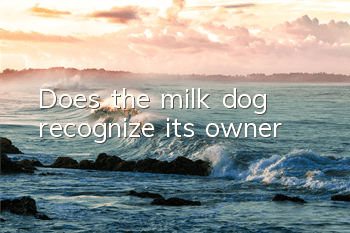 TDoes the milk dog recognize its owner?