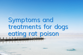 TSymptoms and treatments for dogs eating rat poison