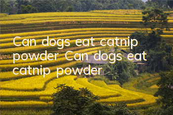 Can dogs eat catnip powder? Can dogs eat catnip powder?