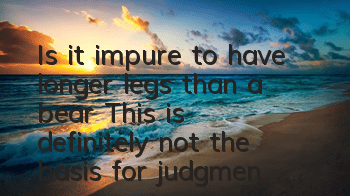 Is it impure to have longer legs than a bear? This is definitely not the basis for judgment!
