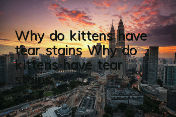 Why do kittens have tear stains? Why do kittens have tear stains?