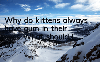 Why do kittens always have gum in their eyes? What should I do?