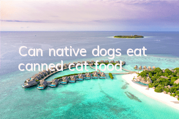 Can native dogs eat canned cat food?