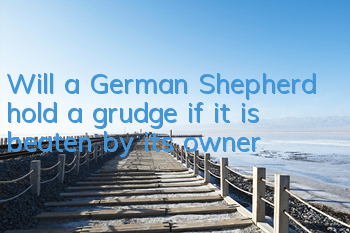 Will a German Shepherd hold a grudge if it is beaten by its owner?