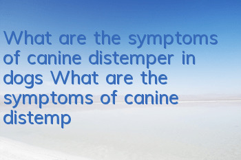 What are the symptoms of canine distemper in dogs? What are the symptoms of canine distemper?